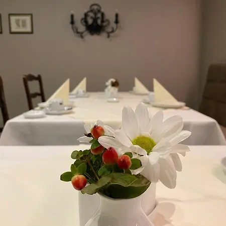 Stadthotel Patrizier Отель Шмалькальден