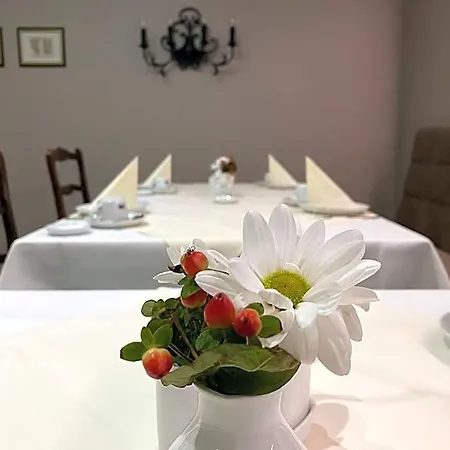 Ξενοδοχείο Stadthotel Patrizier Schmalkalden