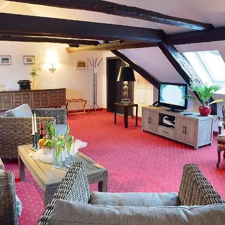 Stadthotel Patrizier 3* Шмалькальден